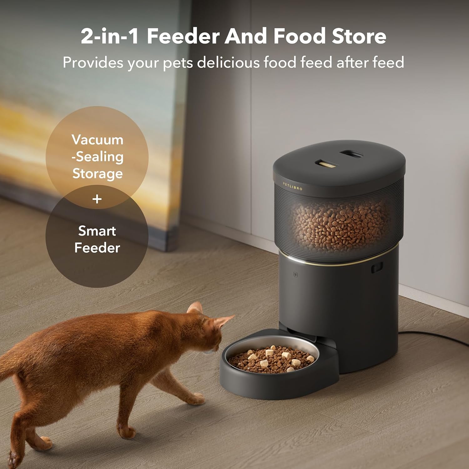 Automatic Cat Feeders