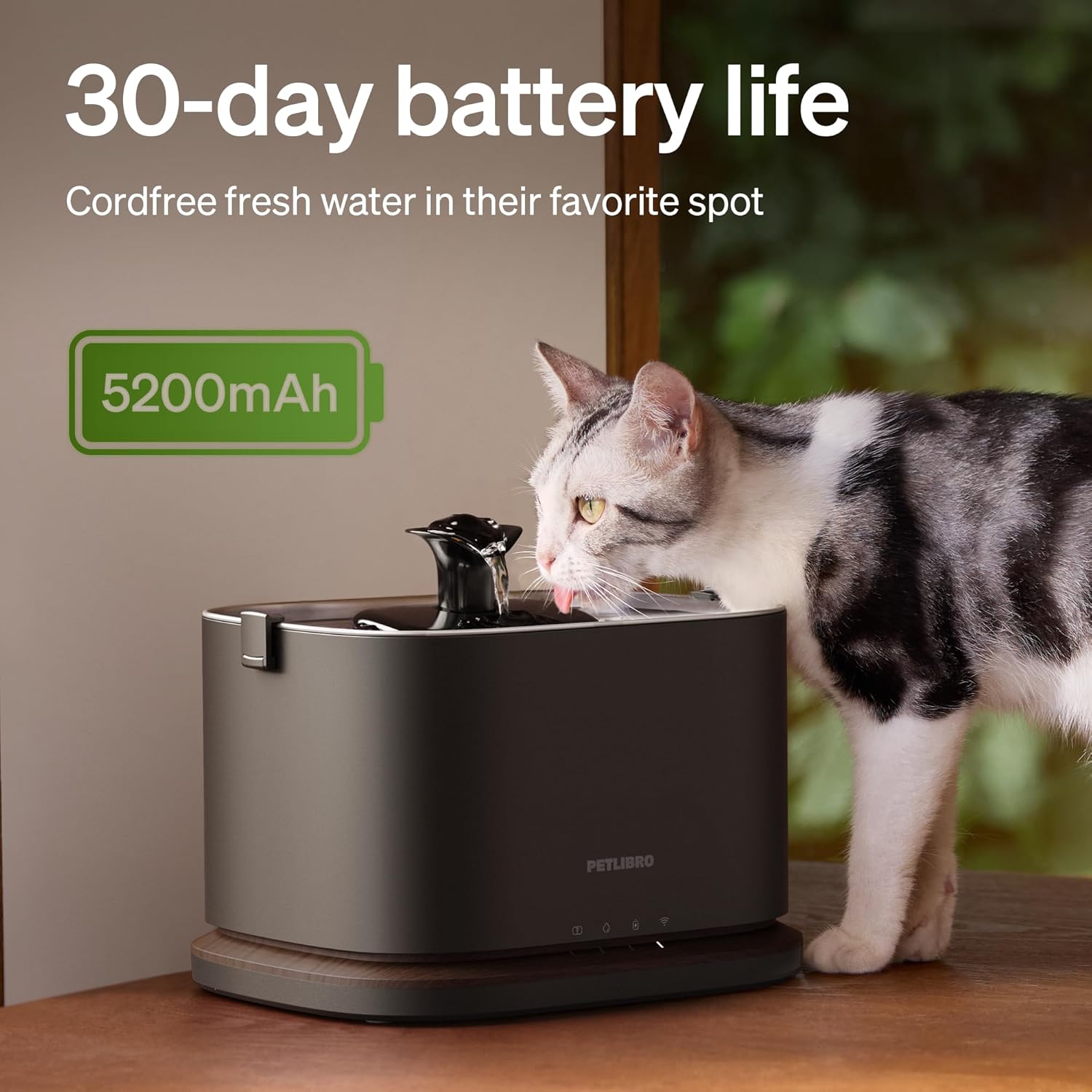 Cat Water Fountain Automatic Water Dispenser