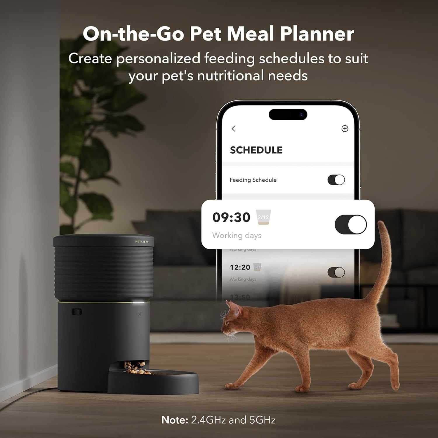 Automatic Cat Feeders