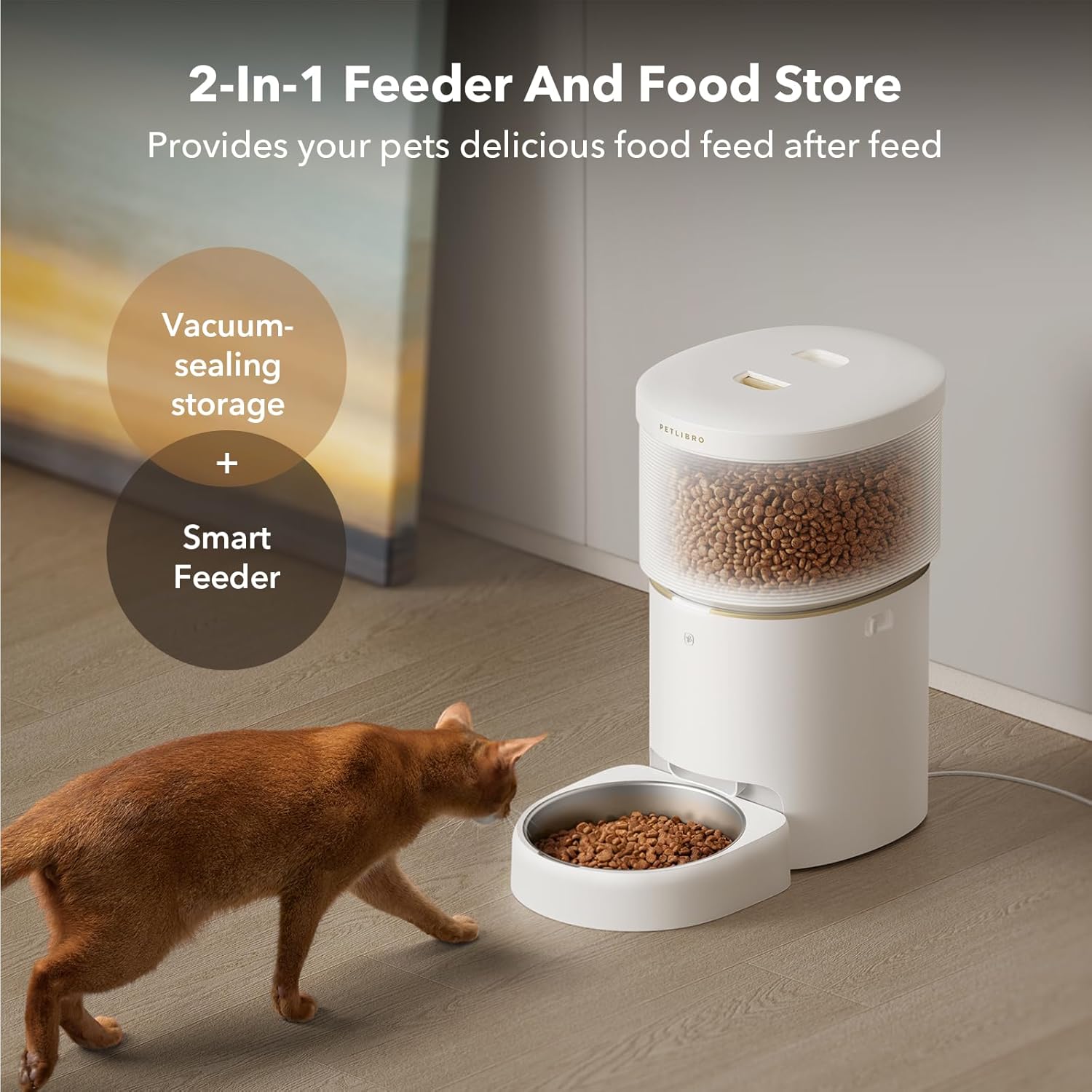 Automatic Cat Feeders