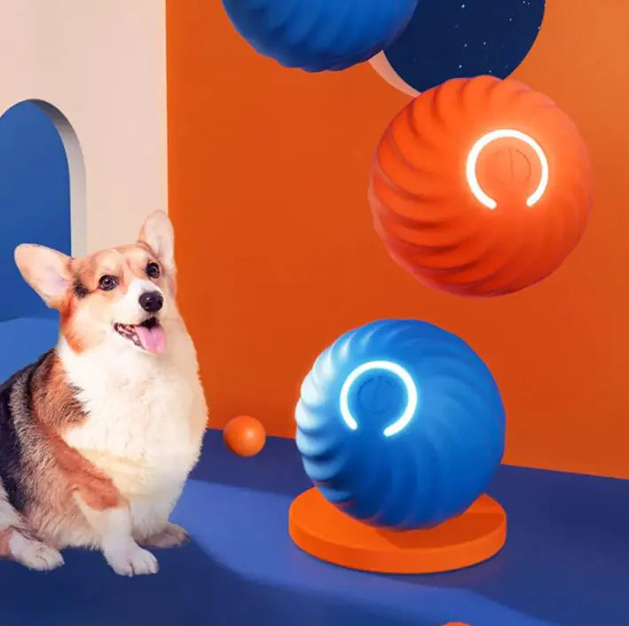 Ball Toys For Dogs