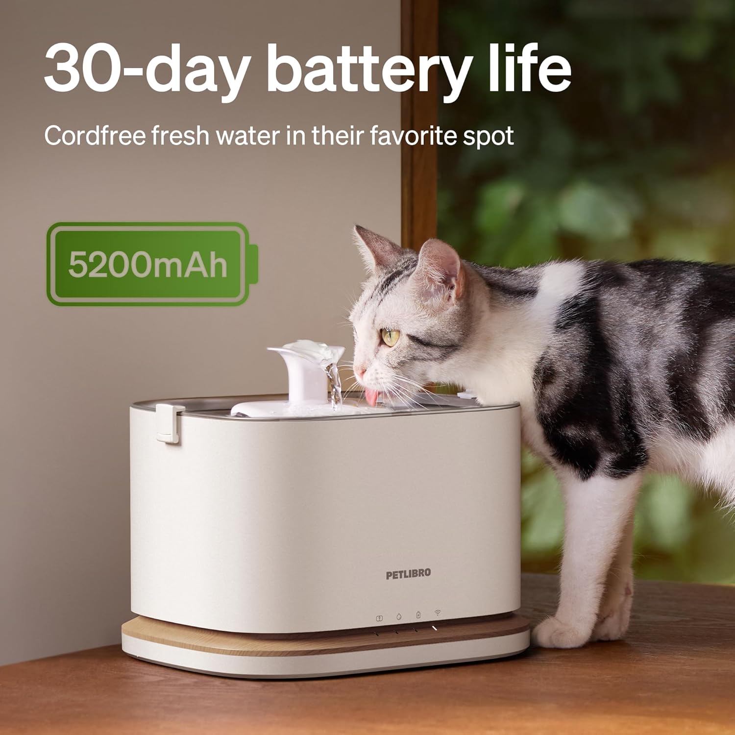 Cat Water Fountain Automatic Water Dispenser