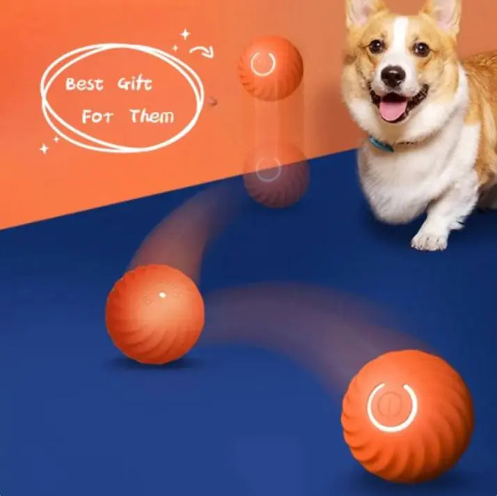 Ball Toys For Dogs