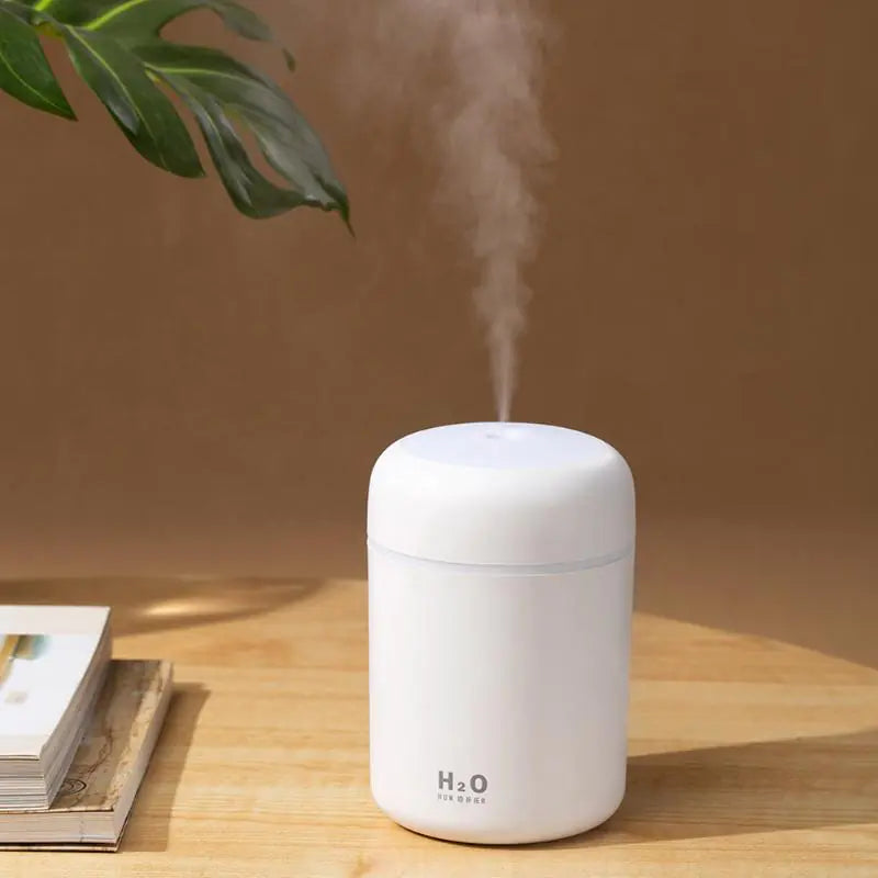 Humidifier & Aromatherapy Air Purifier