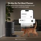 Automatic Cat Feeders