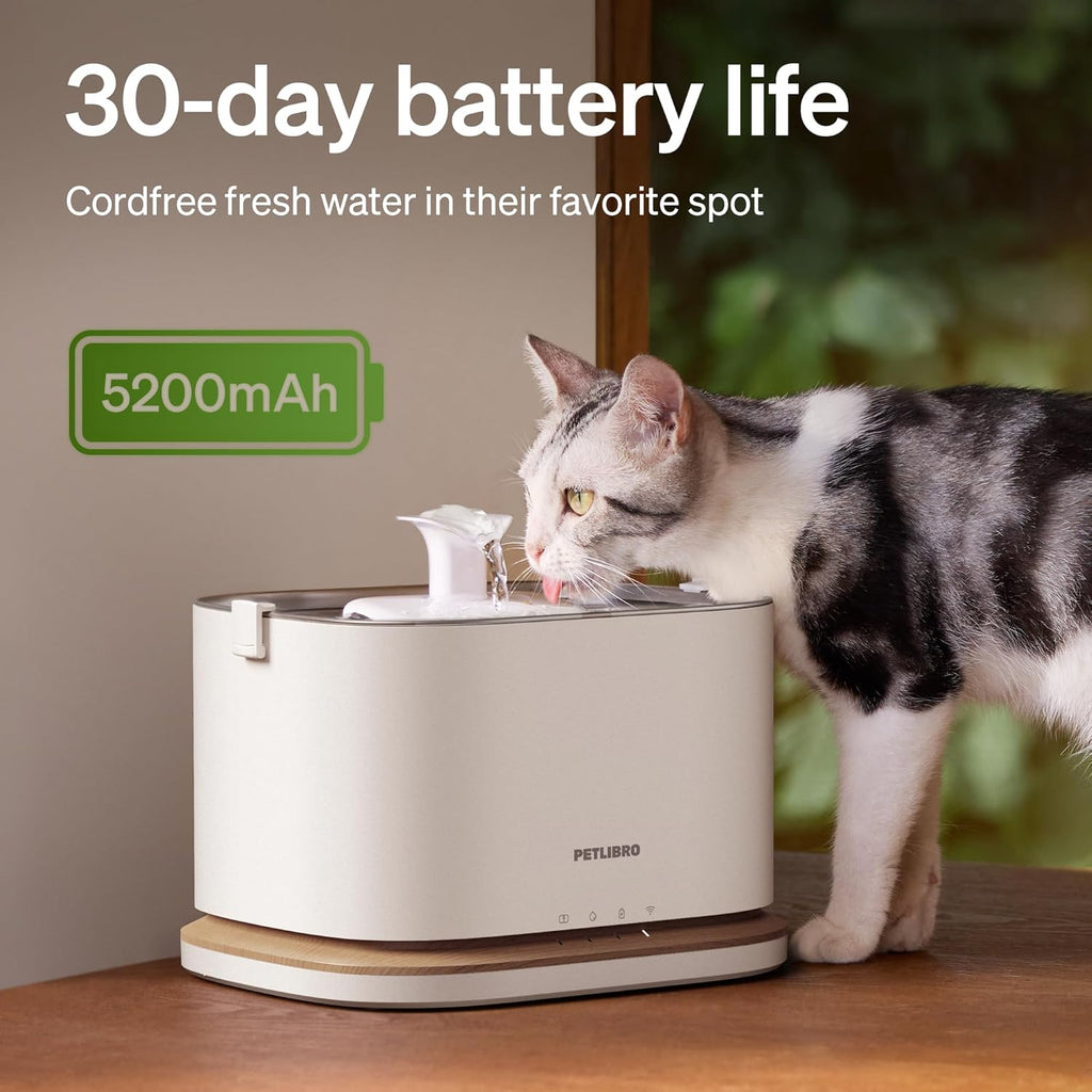 Cat Water Fountain Automatic Water Dispenser