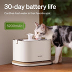 Cat Water Fountain Automatic Water Dispenser