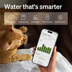 Cat Water Fountain Automatic Water Dispenser