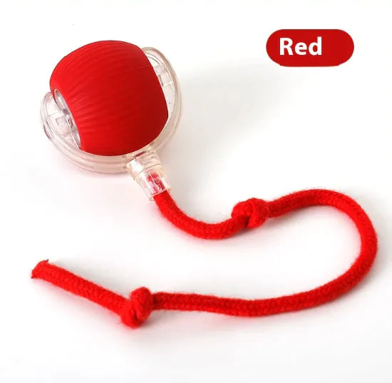 Interactive Cat Toy Ball