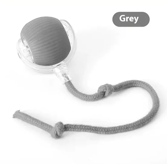 Interactive Cat Toy Ball