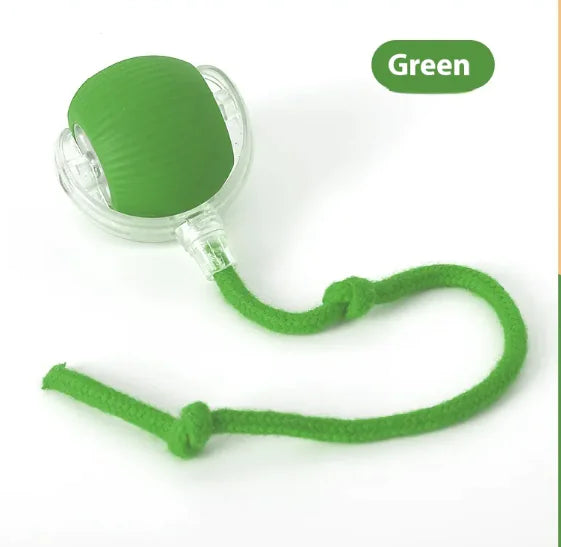Interactive Cat Toy Ball